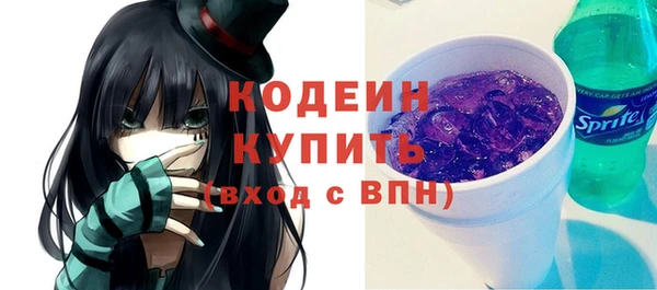 СК Струнино