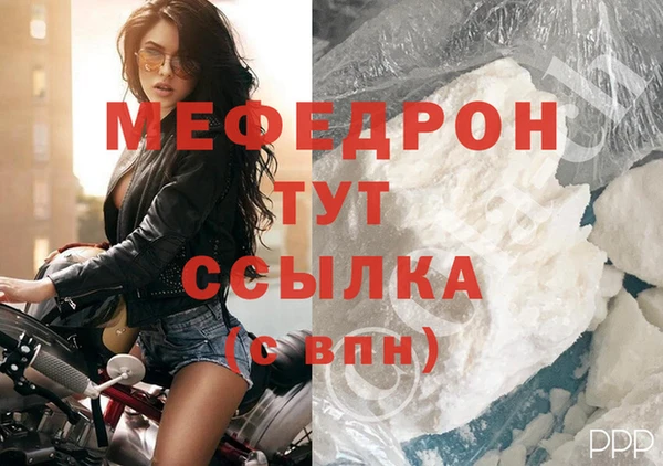 ГАЛЛЮЦИНОГЕННЫЕ ГРИБЫ Тайга