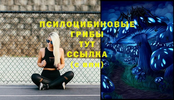 бошки Беломорск