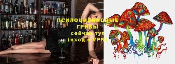 бошки Беломорск