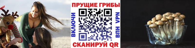 сколько стоит  KRAKEN ссылки  дарк нет официальный сайт  Валуйки  Галлюциногенные грибы Psilocybine cubensis 